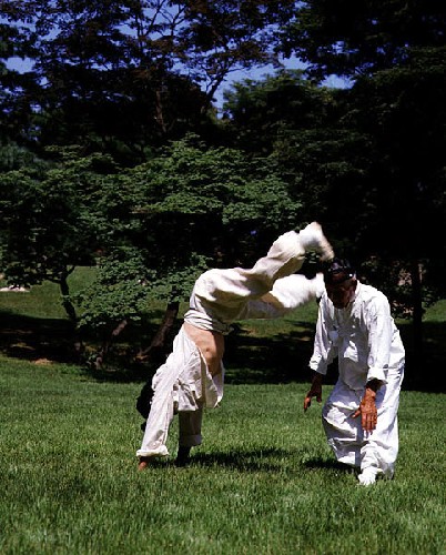 택견