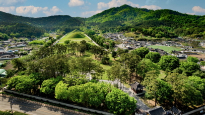 국보_경주 태종무열왕릉비_01_경북_미술.jpg이미지