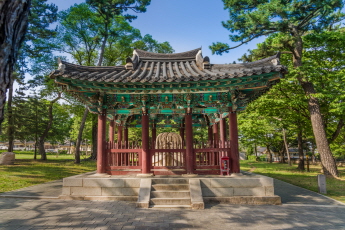 국보_경주 태종무열왕릉비_03_경북_미술.jpg이미지