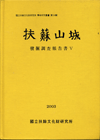 부소산성 발굴조사보고서Ⅴ(扶蘇山城 發掘調査報告書Ⅴ)
