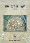羅州 伏岩里 3號墳(나주 복암리 3호분)[분석]