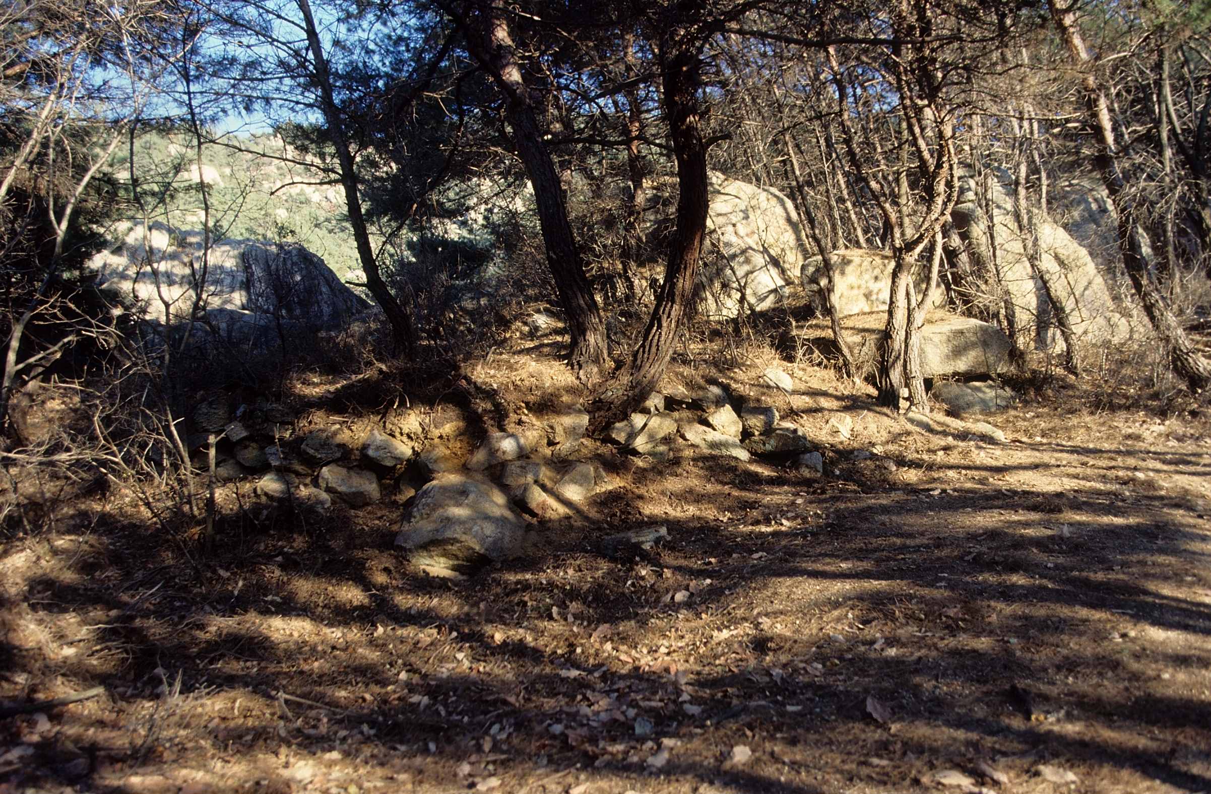 유적_18_경주남산_삼릉계-제5사지-건물지_경상북도_미상_경주_제1유형.jpg이미지