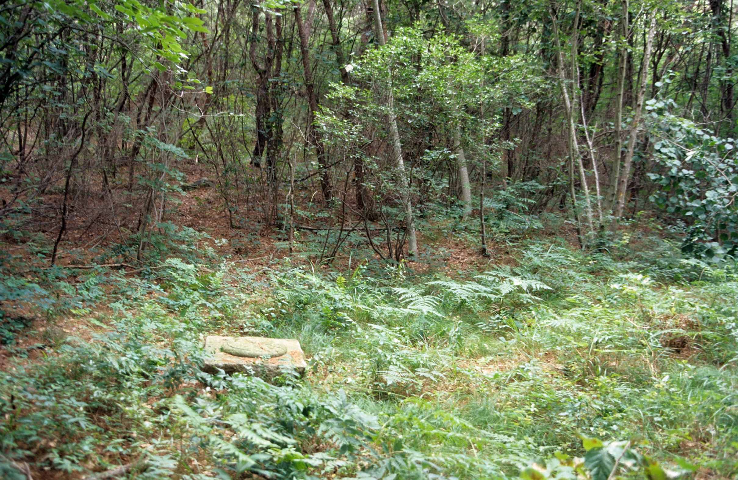 유적_1_경주남산_승소곡-제1사지_경상북도_미상_경주_제1유형.jpg이미지