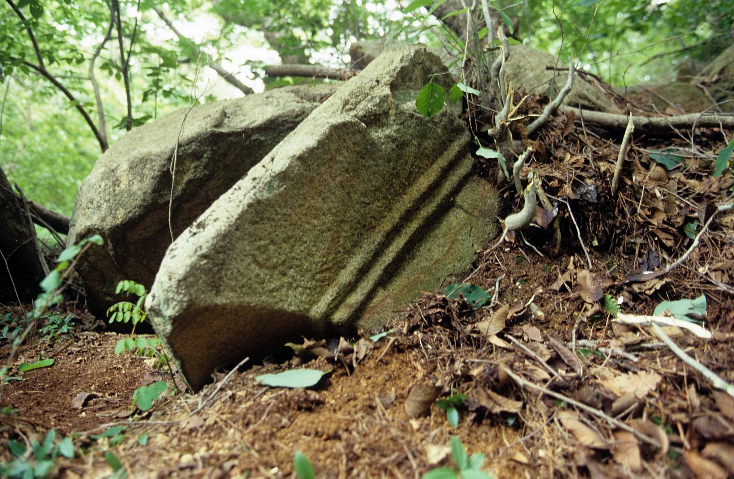유적_351_경주남산_천동곡-석탑-옥개석-2_경상북도_2000_경주_제1유형.jpg이미지