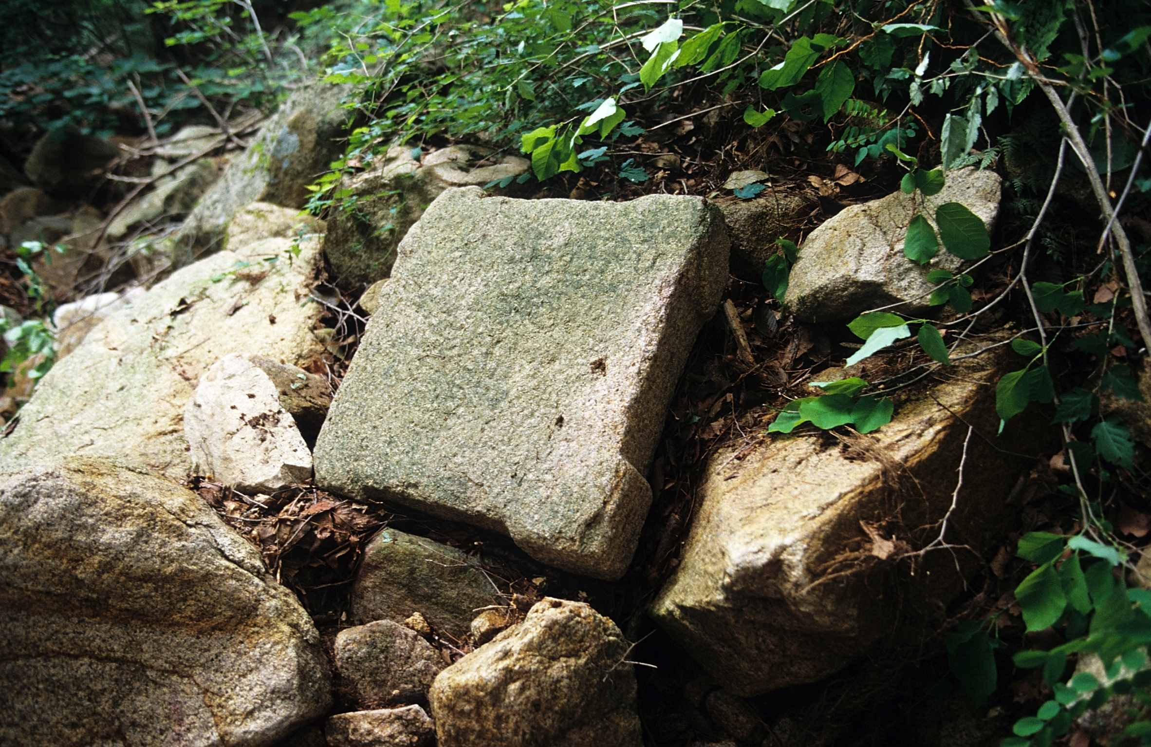 유적_352_경주남산_천동곡-석탑-탑신석_경상북도_2000_경주_제1유형.jpg이미지