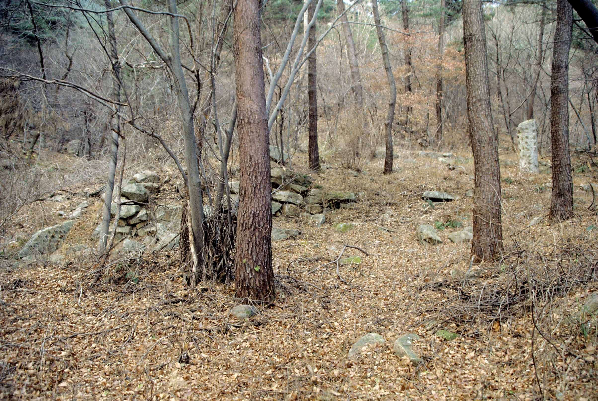 유적_3_경주남산_천동곡-제2사지-전경_경상북도_미상_경주_제1유형.jpg이미지