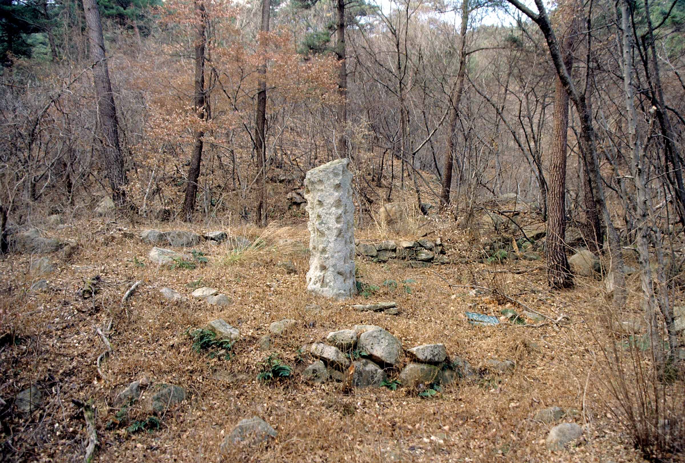 유적_4_경주남산_천동곡-제2사지-돌탑_경상북도_미상_경주_제1유형.jpg이미지