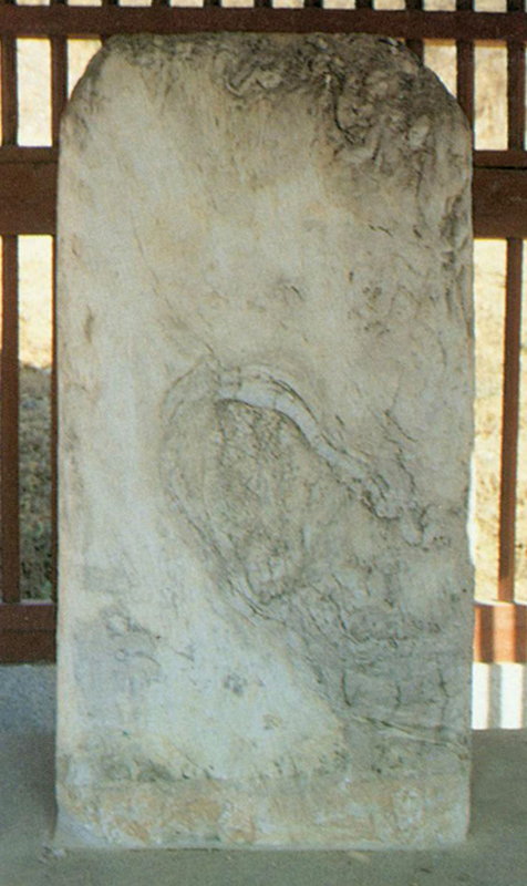 전체