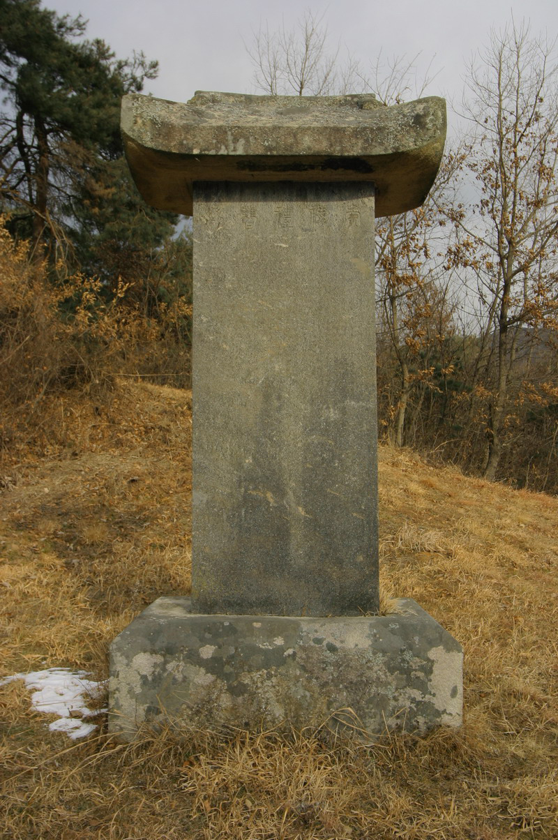 전체1