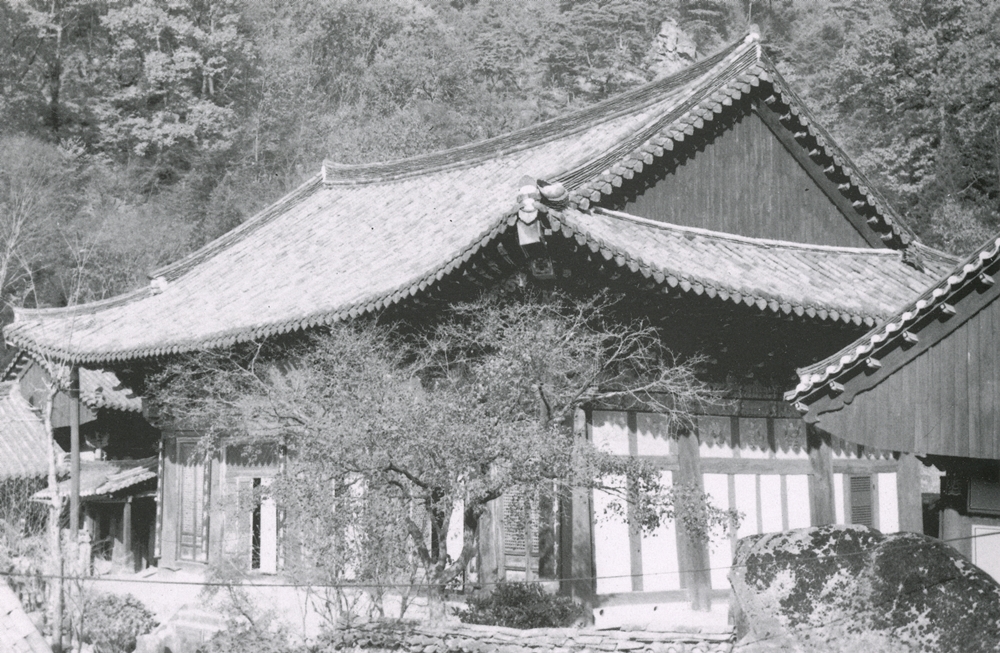 보물500_하동쌍계사대웅전_남측면_경남_1988_건축.jpg이미지